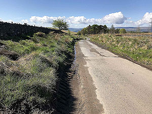 Sheriffmuir loop. Sunny morning looking back