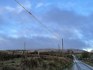 Small 3 Lochs loop. Three wee birds keeping an eye on things