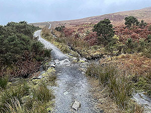 Small 3 Lochs loop. 581_sm_027.jpg