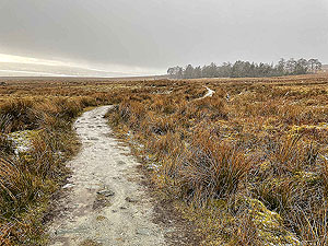 Small 3 Lochs loop. 581_sm_034.jpg