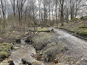 Small 3 Lochs loop. 581_sm_035.jpg