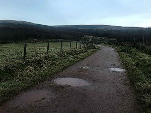 Run Ben Bouie loop. : Past the farm building