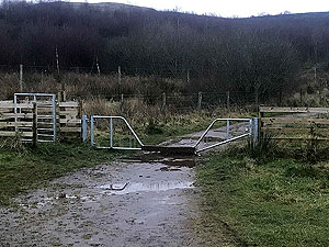 Run Ben Bouie loop. : Weird gate for a wee jump over