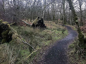 Run Ben Bouie loop. : Nice and soft