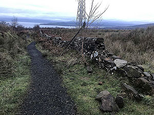 Run Ben Bouie loop. : From the trail section looking back