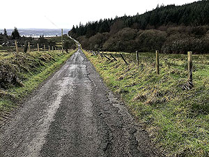 Run Ben Bouie loop. : Stoneymollan road