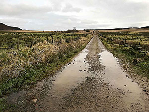 Run Ben Bouie loop. : Heading uphill from the farm