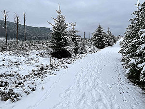 Run Ben Bouie loop. : Around Ben Bouie