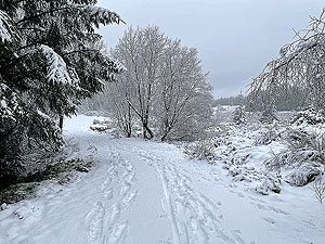 Run Ben Bouie loop. : Lovey and quiet