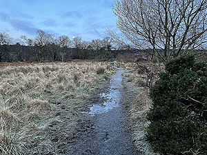 Run Ben Bouie loop. : Can get a little muddy