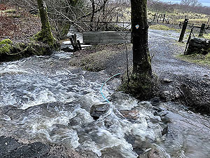 Run Ben Bouie loop. : Crossing the wee burn