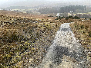 Run Ben Bouie loop. : Mudddy trail from Geln Fruin road