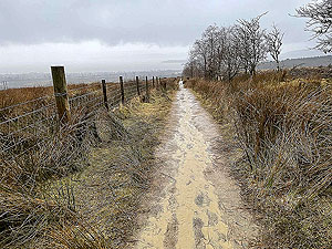 Run Ben Bouie loop. : A rather wet descent