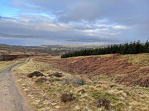 Run Ben Bouie loop : Higher up the hill