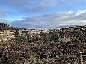 Run Ben Bouie loop. : Loch Lomond in the distance