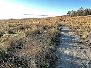 Run Ben Bouie loop. : A flat section