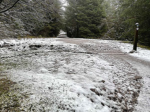 Run Ben Bouie loop. : Coming out of the Spooky woods