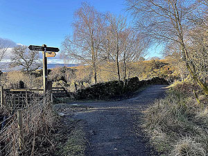 Run Ben Bouie loop. : Here we head right into the small woods