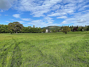 Gallus Running : Looking towards the castle