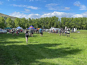 Gallus Running : Starting to get busy