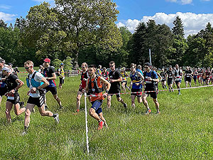 Gallus Running : Slow through the long grass