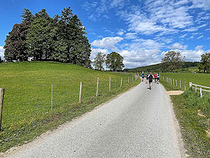 Gallus Running : Out on the open road