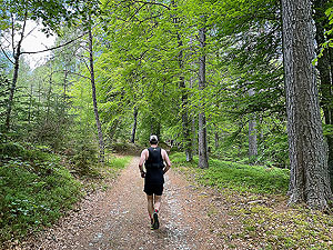 Gallus Running : Trails in the wood near the start