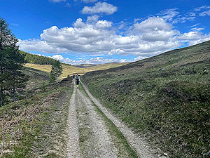 Gallus Running : Out into the open