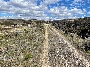 Gallus Running : Clear sky and open road ahead