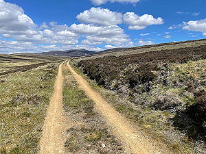 Gallus Running : First sight of the main climb