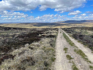 Gallus Running : A short section of down hill