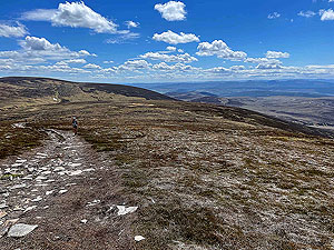 Gallus Running : Short flatish section