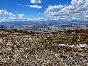 Gallus Running : Near the top