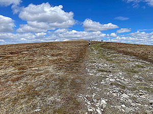 Gallus Running : Top is in sight