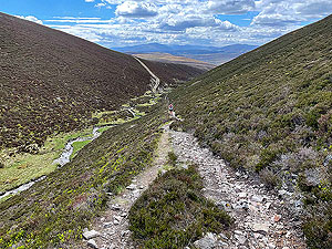 Gallus Running : Near the bottom of the hill heading back across the stream