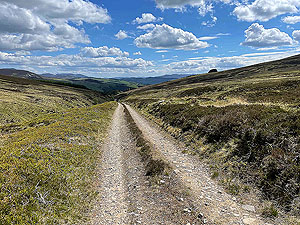 Gallus Running : Still going down hill