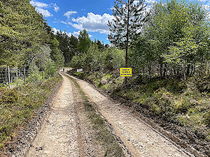 Gallus Running : Just after the rifle range