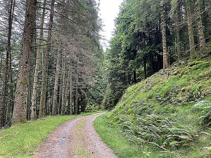 Gallus Running | Loch Eck : 584_sm_010.jpg