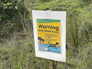 Gallus Running | Loch Eck : 584_sm_015.jpg