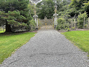 Gallus Running | Loch Eck : The Golden Gates