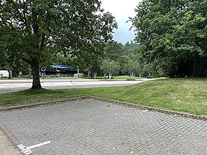 Luss to Arrochar | Gallus Running : 585_sm_003.jpg