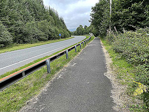 Luss to Arrochar | Gallus Running : 585_sm_005.jpg