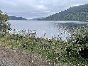 Luss to Arrochar | Gallus Running : 585_sm_018.jpg