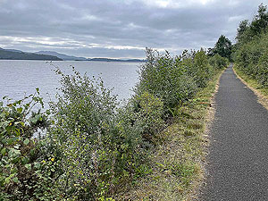 Luss to Arrochar | Gallus Running : 585_sm_027.jpg