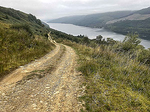 Gallus Running  : 586_sm_047.jpg