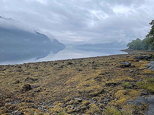 Lochgoilhead : 587_sm_006.jpg