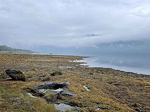 Lochgoilhead : 587_sm_007.jpg