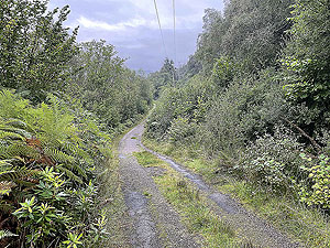 Lochgoilhead : 587_sm_012.jpg