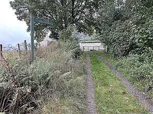 Lochgoilhead : 587_sm_013.jpg