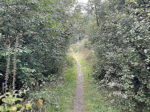 Lochgoilhead : 587_sm_015.jpg